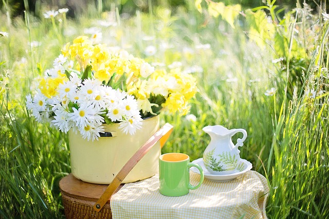 Natural Benefits of Drinking Green Tea