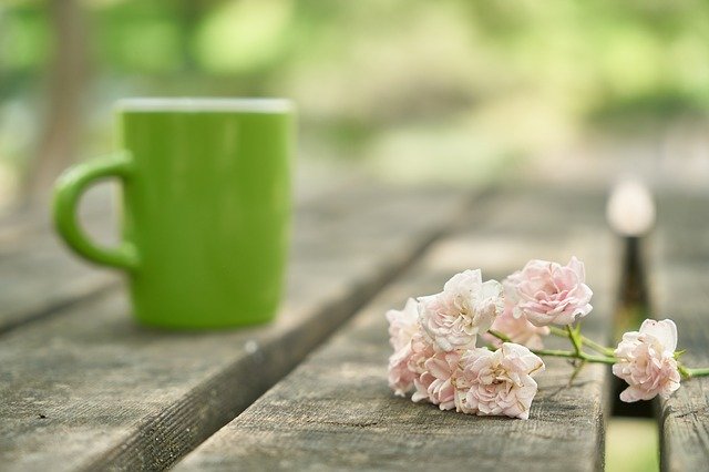 Jasmine Pearl Green Tea Tastes Great and Is a Healthy Tea Choice