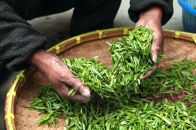 Buy Green Tea Online – You Can Find Better Prices and Selection