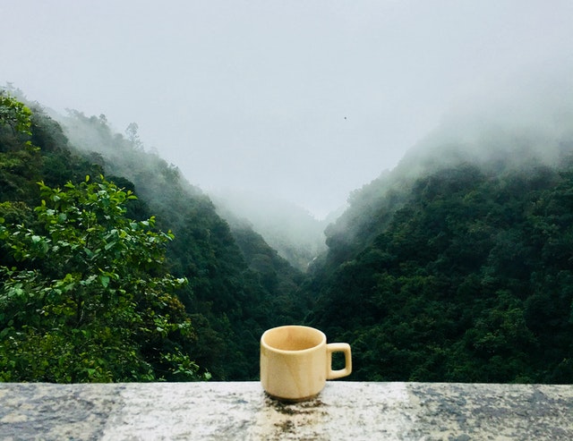 Did You Know That Lowering Your LDL-Cholesterol Was A Green Tea Health Benefit?
