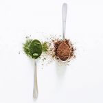 The health benefits and cultural significance of Matcha Tea